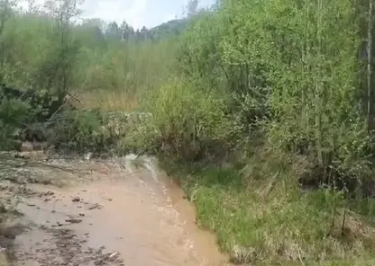 Загрязненная река 