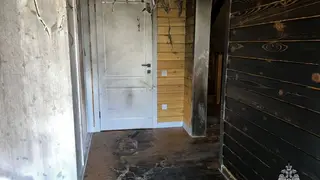 В Томской области при пожаре пострадали два человека
