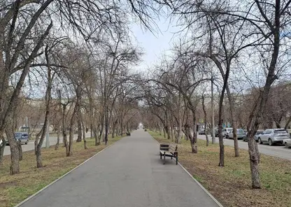 аллея лавочка сквер