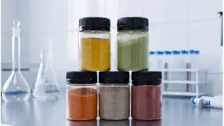 Красноярские студенты разработали технологию витаминного порошка из тыквы Красноярские студенты разработали технологию витаминного порошка из тыквы