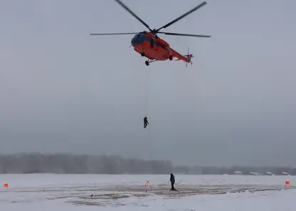 o-118495