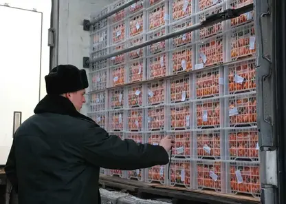 Без названия (2)