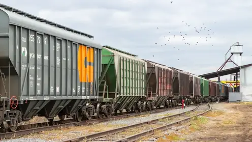 Ужур 2019 (1)