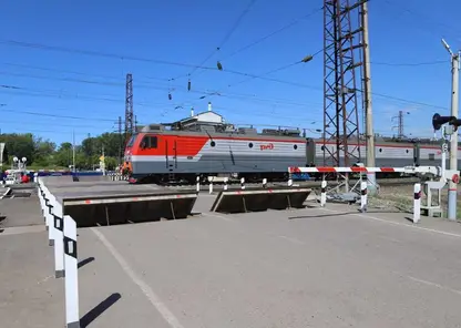Без названия