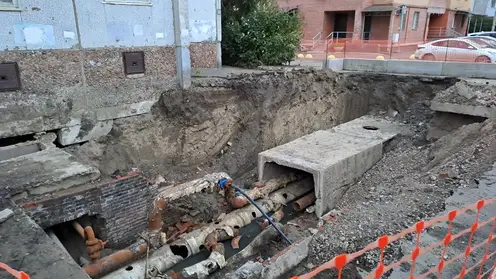 Роща трубы