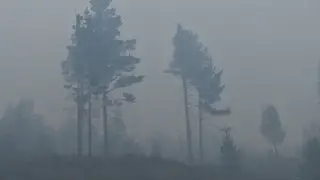 Режим чрезвычайной пожарной опасности ввели в нескольких районах Забайкалья