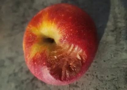 20260210_125005