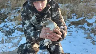 В Красноярском крае в заповеднике спасли примёрзшую хвостом ко льду утку