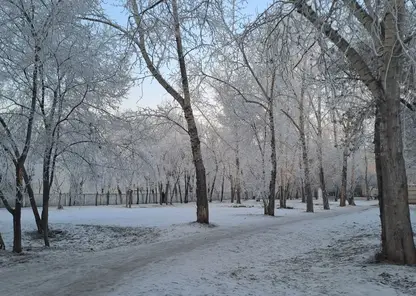 погода зима