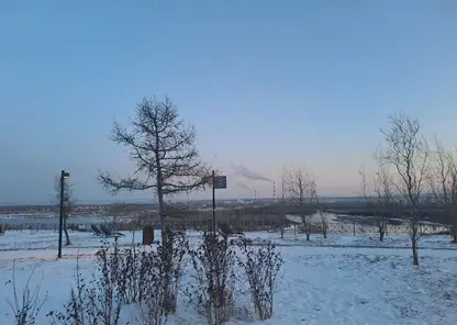погода вечер зима зеленый берег снег деревья