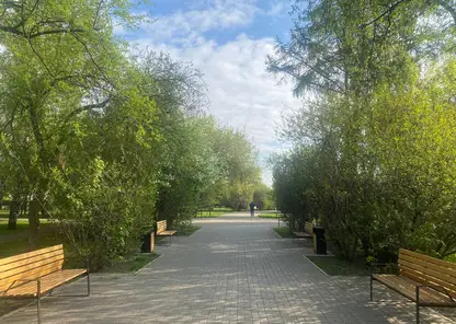 photo1684981684