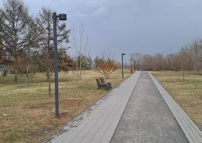 сквер парк дорожка