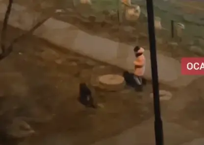 Снимок экрана 2025-11-11 091003