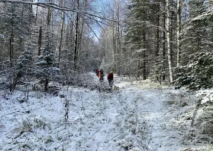 ск3
