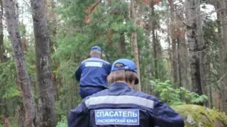 В Красноярске на Столбах с высоты сорвался 49-летний мужчина В Красноярске на Столбах с высоты сорвался 49-летний мужчина