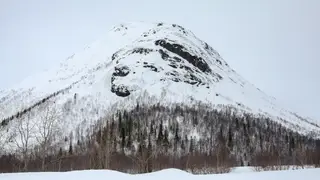В Курагинском районе Красноярского края на дорогу сошла лавина В Курагинском районе Красноярского края на дорогу сошла лавина