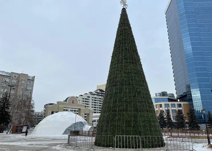 ёлки Красгорпарка_1122_2 (1)