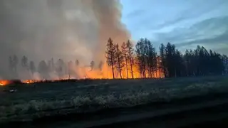 Режим ЧС ввели в Туве из-за лесных пожаров