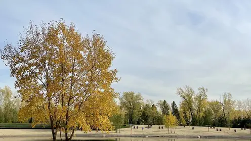 Осень