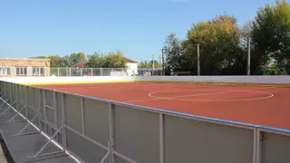 12 новых хоккейных полей построят в Красноярском крае к зиме
