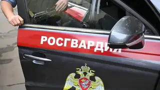Вооруженных силовиков заметили у красноярской школы: там проходили учения Росгвардии Вооруженных силовиков заметили у красноярской школы: там проходили учения Росгвардии