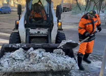 удиб