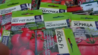 «Цыпочку» и «Плейбоя» нашли на полках с семенами несуществующих сортов овощей в Красноярске