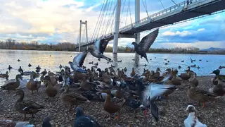 Солнце весь день. Жителей Красноярска ждёт тёплое воскресенье 6 октября Солнце весь день. Жителей Красноярска ждёт тёплое воскресенье 6 октября