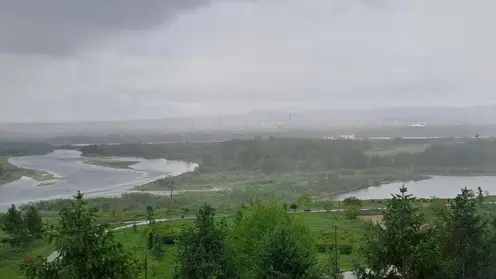 Погода пасмурно дождь