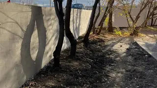 В Красноярске отремонтировали подпорную стену на ул. Мичурина В Красноярске отремонтировали подпорную стену на ул. Мичурина