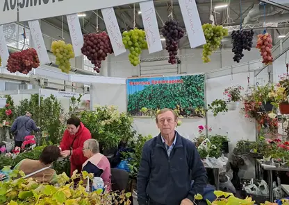 сергей альбертович виноград