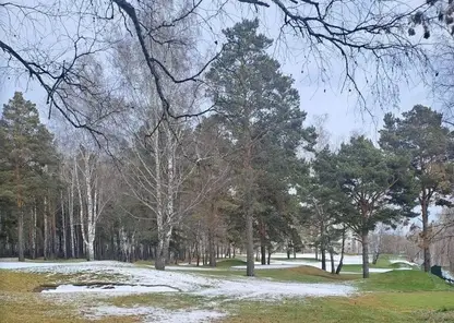 заморозки снег трава деревья