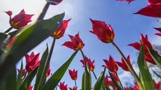 Как будут отдыхать жители Красноярского края на майские праздники