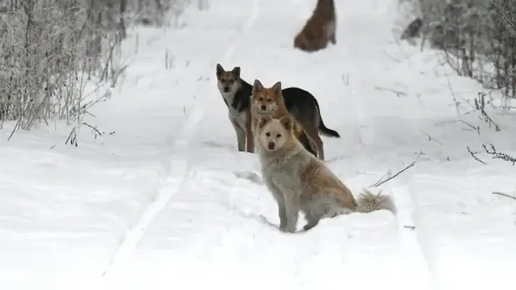 RIA_8358690.LR