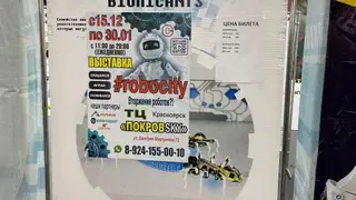 В Центральном районе работала небезопасная детская выставка игрушек
