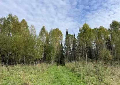 дел