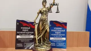 Суд в Новосибирске арестовал восьмерых участников преступной группы за мошенничество с выплатами военнослужащим СВО