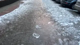 Красноярск сковал гололед: горожане жалуются на скользкие остановки Красноярск сковал гололед: горожане жалуются на скользкие остановки
