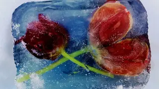 На Богучанской ГЭС подведены итоги конкурса «Живая вода-2022» На Богучанской ГЭС подведены итоги конкурса «Живая вода-2022»