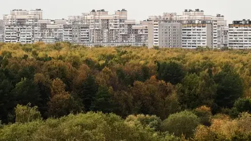 RIA_9257347.LR