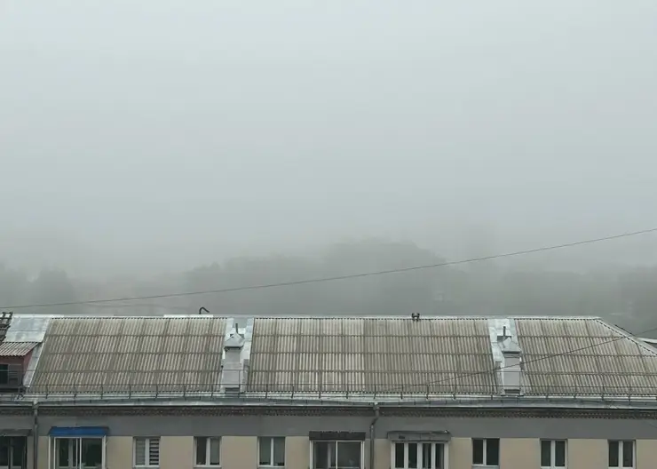 туман погода