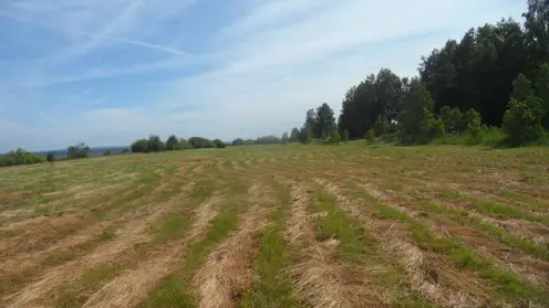 Зарастание устранено Енисейский