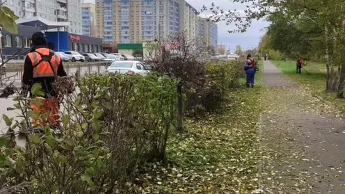 Покосы_2022 (6)