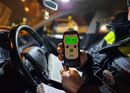 5296321453890410039