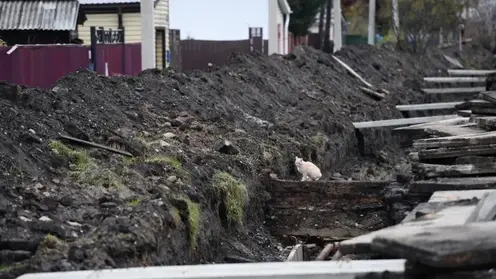 RIA_6033222.LR