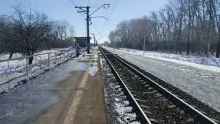 В Новосибирской области два человека попали под поезд за один день: женщина погибла, мужчина травмирован В Новосибирской области два человека попали под поезд за один день: женщина погибла, мужчина травмирован