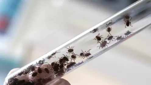 _____________