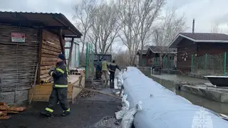 23 дома и 199 приусадебных участков остаются подтопленными в Алтайском крае