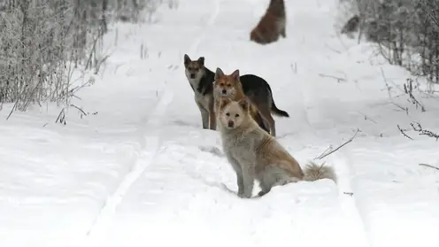 RIA_8358690.LR