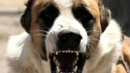 ______
